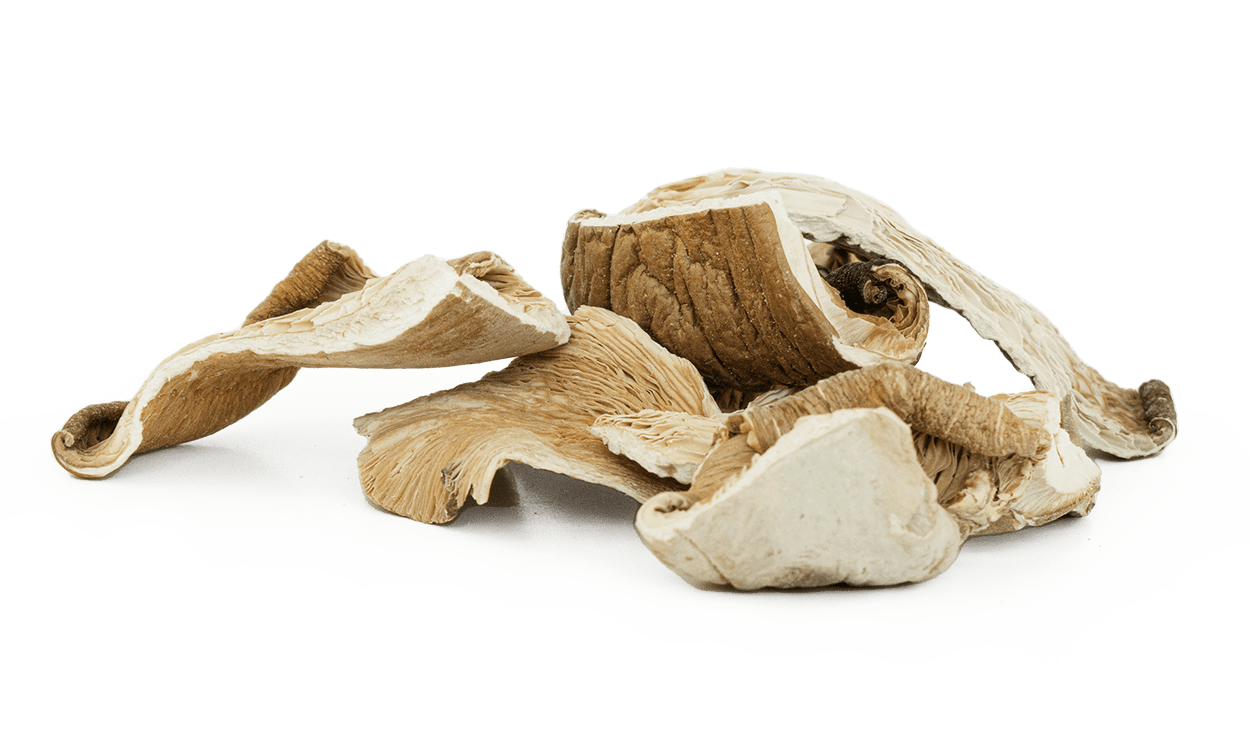 Dried Oyster loose